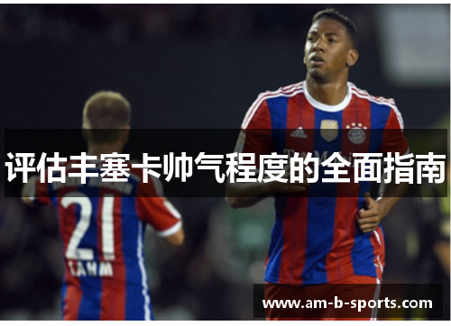 评估丰塞卡帅气程度的全面指南 评估丰塞卡帅气程度的全面指南