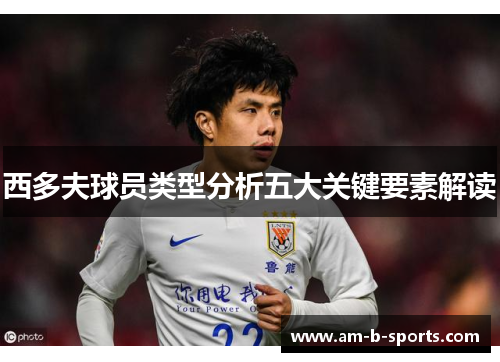 西多夫球员类型分析五大关键要素解读 西多夫球员类型分析五大关键要素解读